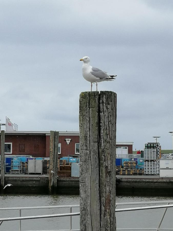 Mien Leevsten Carolinensiel Exterior foto