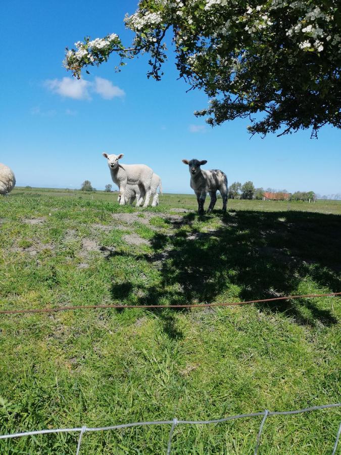 Mien Leevsten Carolinensiel Exterior foto